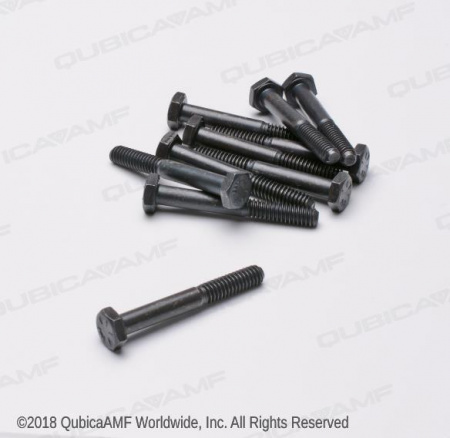 809849325BG 1/4-20 x 2 Screw Hx Bag/10