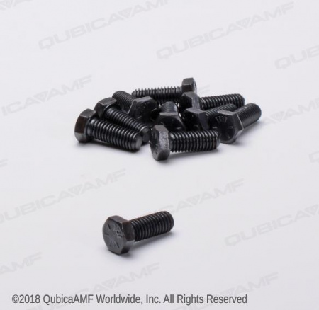 809865165BG Болт 3/8-16 x 1 Scr HHC Bag/10