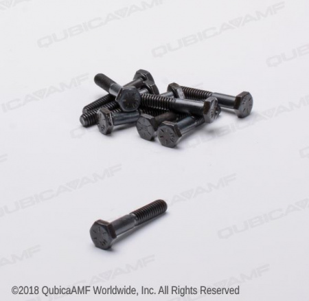 809849245BG  1/4-20 x 1 1/2 Scr Hx Bag/10